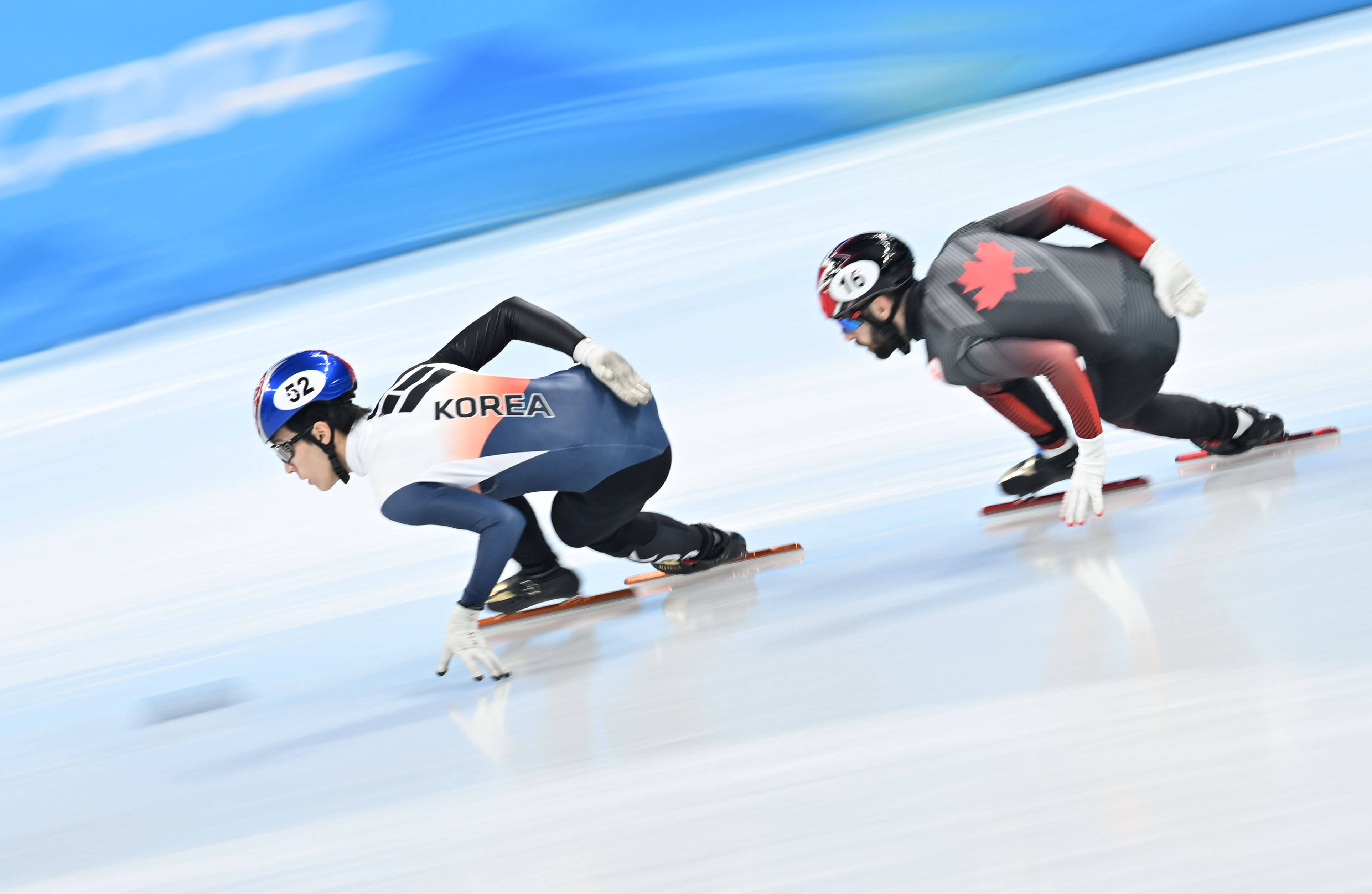 开云sport-速度滑冰项目中，韩国选手表现出色