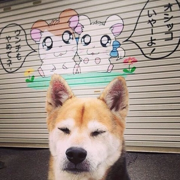 班凯罗以一敌众，山西队末节逆袭神话，打破历史记录的唯一一战