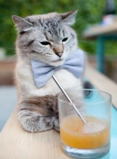 布鲁诺，超越梅西与姆巴佩的夜晚，巴萨险胜阿森纳全场最佳无争议