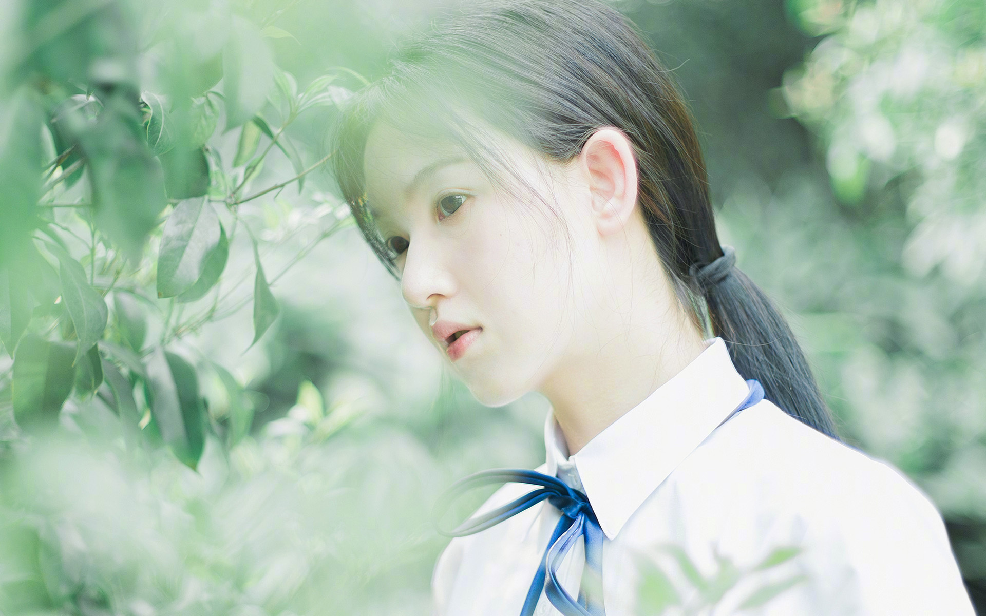 2026世界杯焦点战,古罗马军团的意志,比利时黄金一代的黄昏